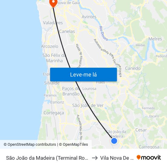 São João da Madeira (Terminal Rodoviário) to Vila Nova De Gaia map