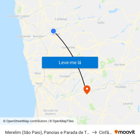 Merelim (São Paio), Panoias e Parada de Tibães to Cinfães map