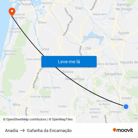 Anadia to Gafanha da Encarnação map