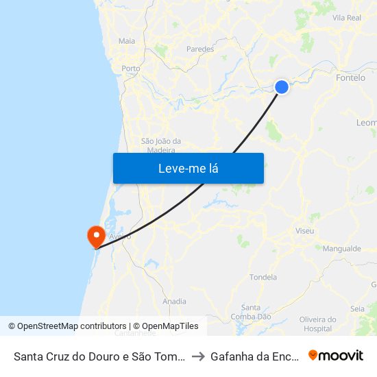 Santa Cruz do Douro e São Tomé de Covelas to Gafanha da Encarnação map