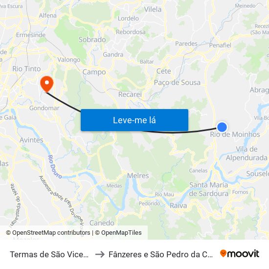 Termas de São Vicente to Fânzeres e São Pedro da Cova map