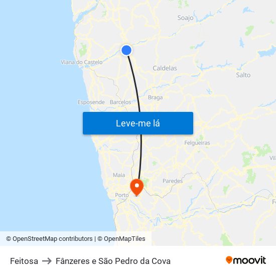 Feitosa to Fânzeres e São Pedro da Cova map