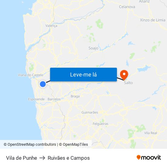 Vila de Punhe to Ruivães e Campos map