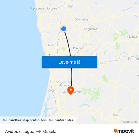 Avidos e Lagoa to Ossela map