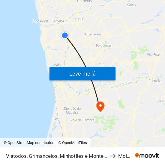 Viatodos, Grimancelos, Minhotães e Monte de Fralães to Moldes map