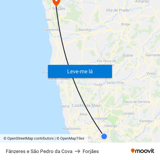 Fânzeres e São Pedro da Cova to Forjães map