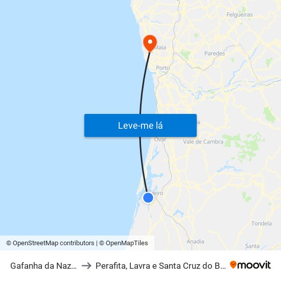 Gafanha da Nazaré to Perafita, Lavra e Santa Cruz do Bispo map