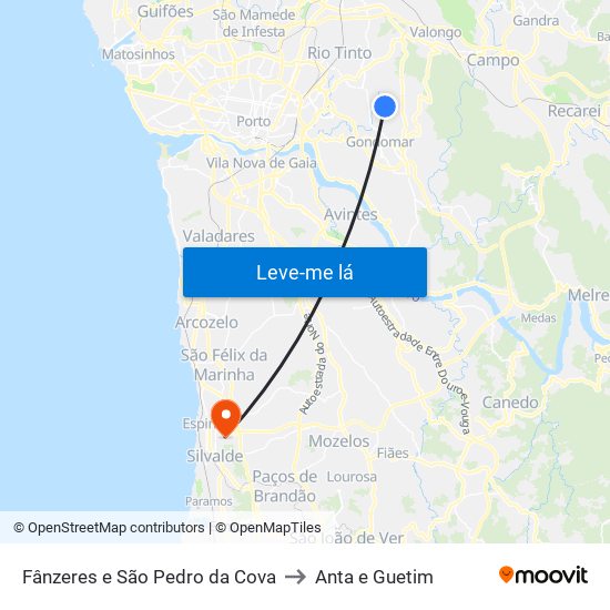 Fânzeres e São Pedro da Cova to Anta e Guetim map