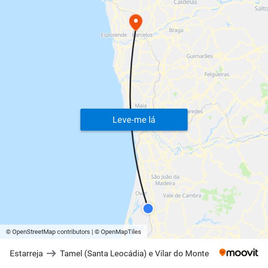 Estarreja to Tamel (Santa Leocádia) e Vilar do Monte map