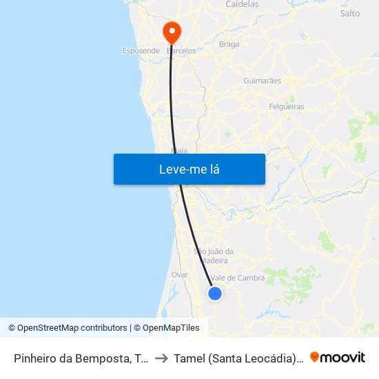 Pinheiro da Bemposta, Travanca e Palmaz to Tamel (Santa Leocádia) e Vilar do Monte map