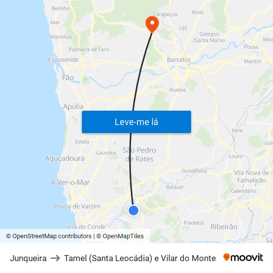 Junqueira to Tamel (Santa Leocádia) e Vilar do Monte map