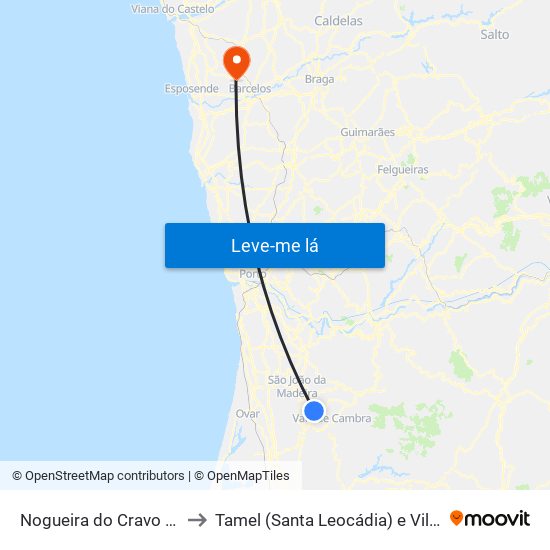 Nogueira do Cravo e Pindelo to Tamel (Santa Leocádia) e Vilar do Monte map