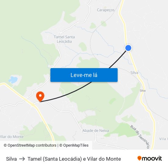 Silva to Tamel (Santa Leocádia) e Vilar do Monte map