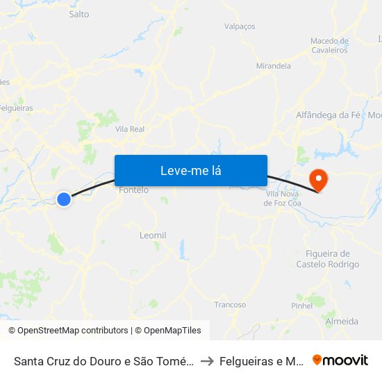 Santa Cruz do Douro e São Tomé de Covelas to Felgueiras e Maçores map