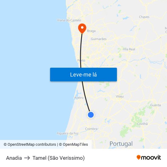 Anadia to Tamel (São Veríssimo) map