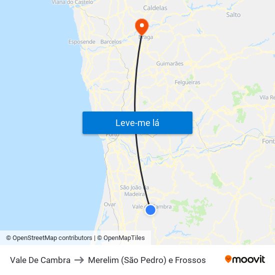 Vale De Cambra to Merelim (São Pedro) e Frossos map