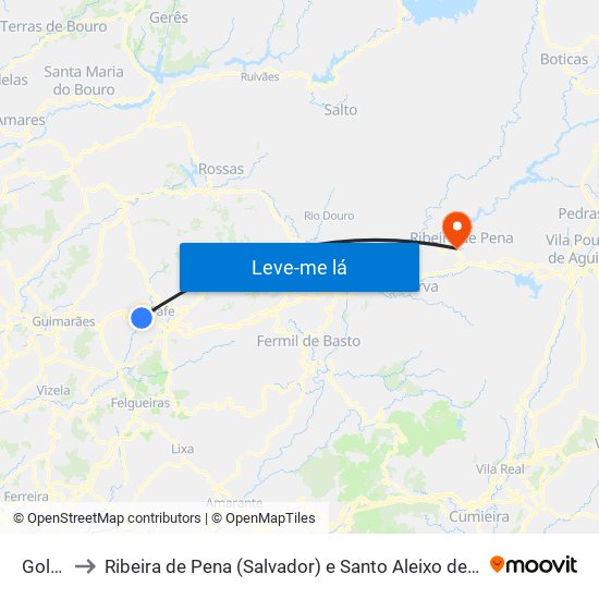 Golães to Ribeira de Pena (Salvador) e Santo Aleixo de Além-Tâmega map