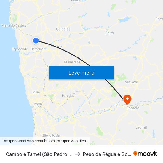 Campo e Tamel (São Pedro Fins) to Peso da Régua e Godim map