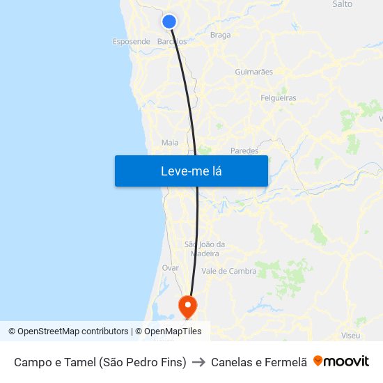 Campo e Tamel (São Pedro Fins) to Canelas e Fermelã map