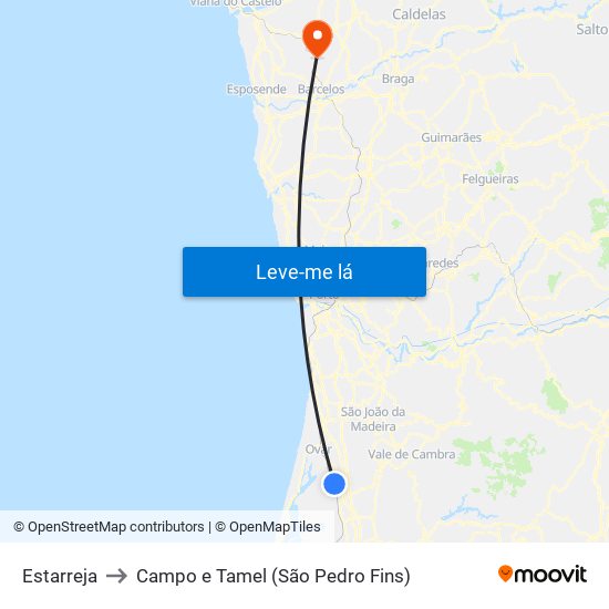 Estarreja to Campo e Tamel (São Pedro Fins) map