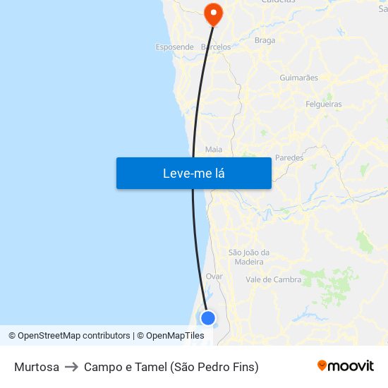 Murtosa to Campo e Tamel (São Pedro Fins) map