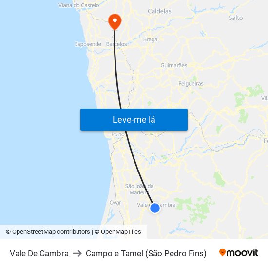 Vale De Cambra to Campo e Tamel (São Pedro Fins) map