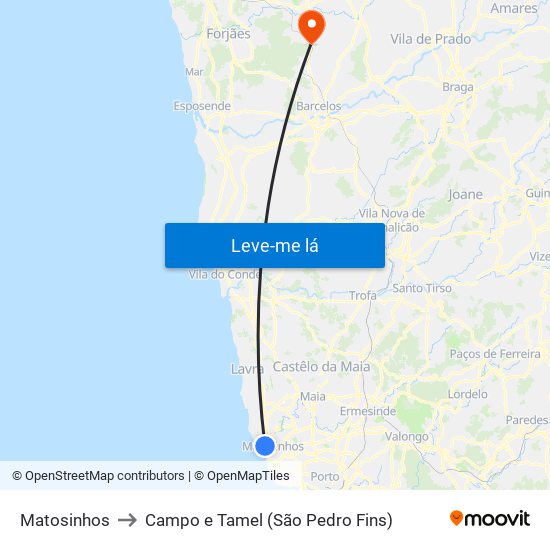 Matosinhos to Campo e Tamel (São Pedro Fins) map