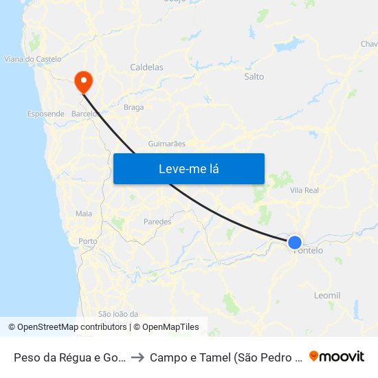 Peso da Régua e Godim to Campo e Tamel (São Pedro Fins) map