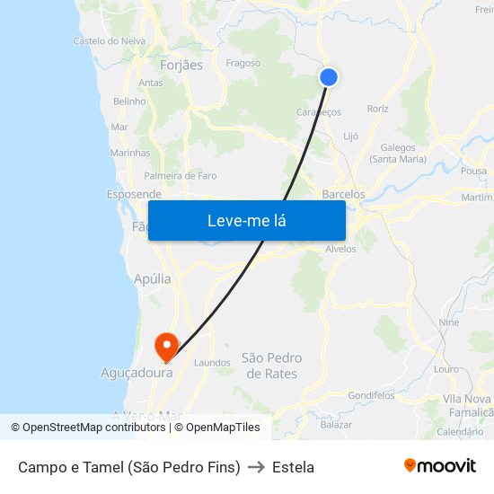 Campo e Tamel (São Pedro Fins) to Estela map