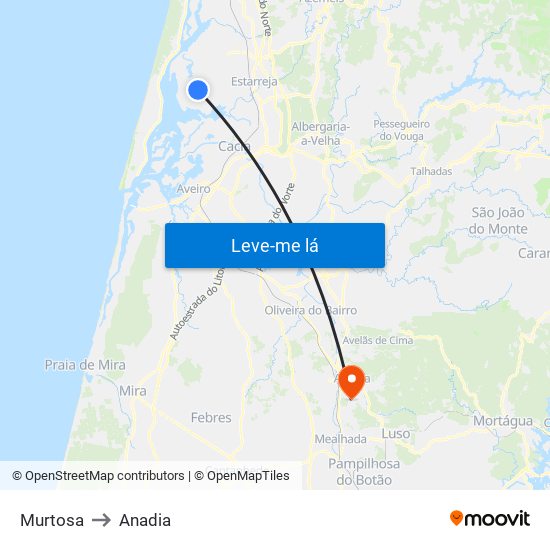 Murtosa to Anadia map
