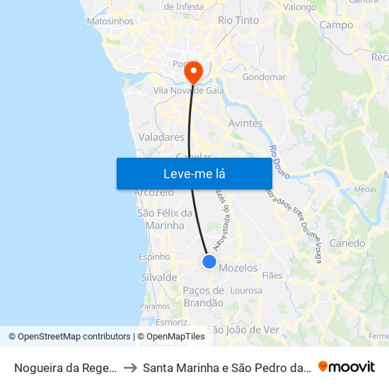 Nogueira da Regedoura to Santa Marinha e São Pedro da Afurada map