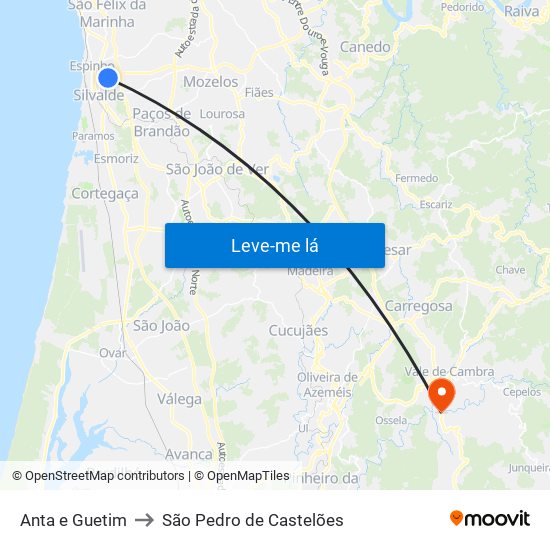 Anta e Guetim to São Pedro de Castelões map