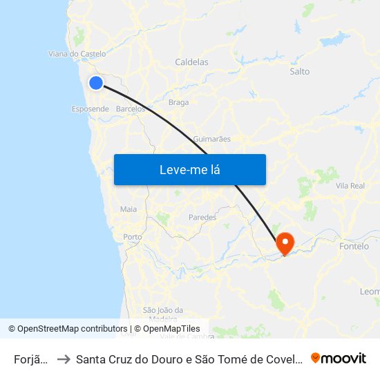 Forjães to Santa Cruz do Douro e São Tomé de Covelas map