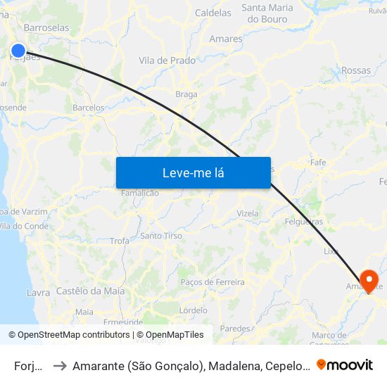 Forjães to Amarante (São Gonçalo), Madalena, Cepelos e Gatão map