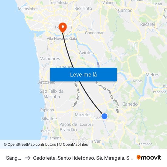 Sanguedo to Cedofeita, Santo Ildefonso, Sé, Miragaia, São Nicolau e Vitória map