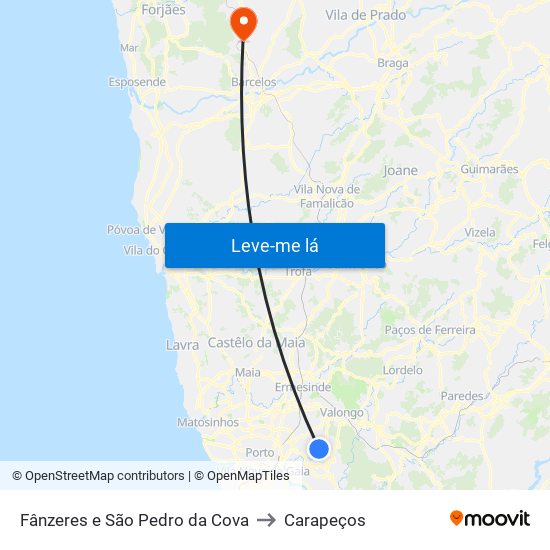 Fânzeres e São Pedro da Cova to Carapeços map