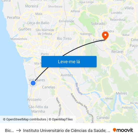 Bicheiros to Instituto Universitário de Ciências da Saúde; Escola Superior de Saúde do Vale do Sousa map