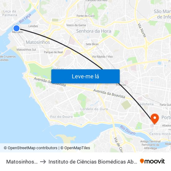 Matosinhos (Mercado) to Instituto de Ciências Biomédicas Abel Salazar - Polo de Medicina map