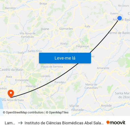 Lameiros to Instituto de Ciências Biomédicas Abel Salazar - Polo de Medicina map