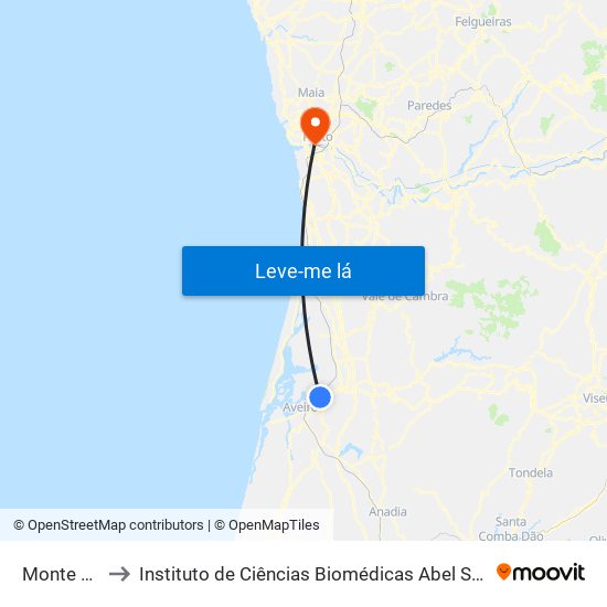 Monte Cacia B to Instituto de Ciências Biomédicas Abel Salazar - Polo de Medicina map