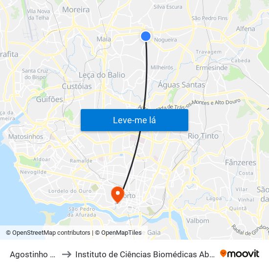 Agostinho Silva Rocha to Instituto de Ciências Biomédicas Abel Salazar - Polo de Medicina map