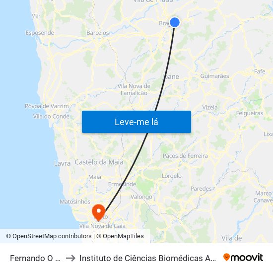 Fernando O Guimarães I to Instituto de Ciências Biomédicas Abel Salazar - Polo de Medicina map