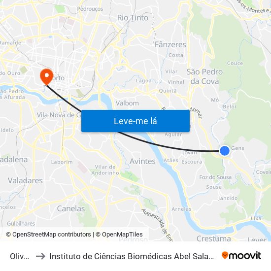 Oliveiras to Instituto de Ciências Biomédicas Abel Salazar - Polo de Medicina map