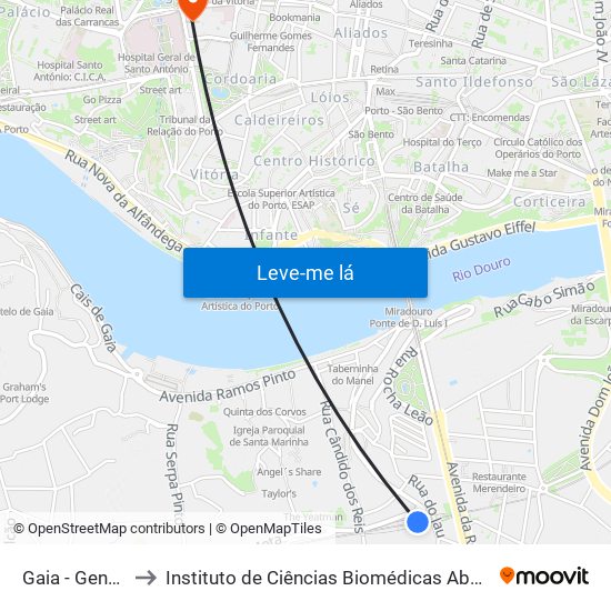 Gaia - General Torres to Instituto de Ciências Biomédicas Abel Salazar - Polo de Medicina map