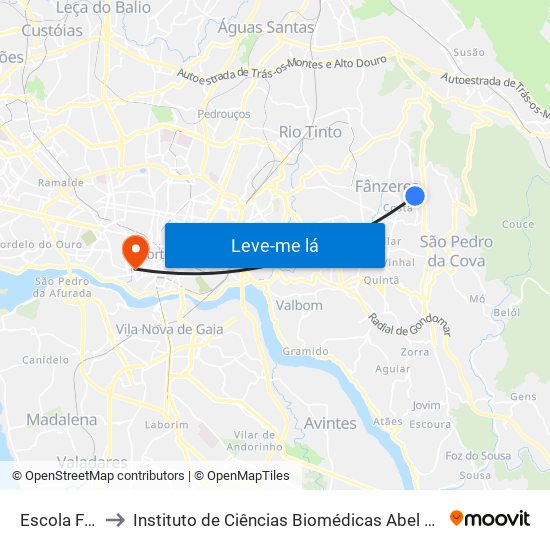 Escola Fânzeres to Instituto de Ciências Biomédicas Abel Salazar - Polo de Medicina map