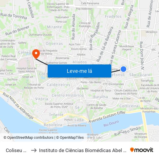 Coliseu do Porto to Instituto de Ciências Biomédicas Abel Salazar - Polo de Medicina map