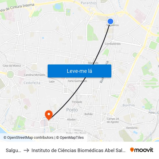 Salgueiros to Instituto de Ciências Biomédicas Abel Salazar - Polo de Medicina map