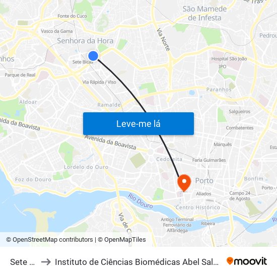 Sete Bicas to Instituto de Ciências Biomédicas Abel Salazar - Polo de Medicina map