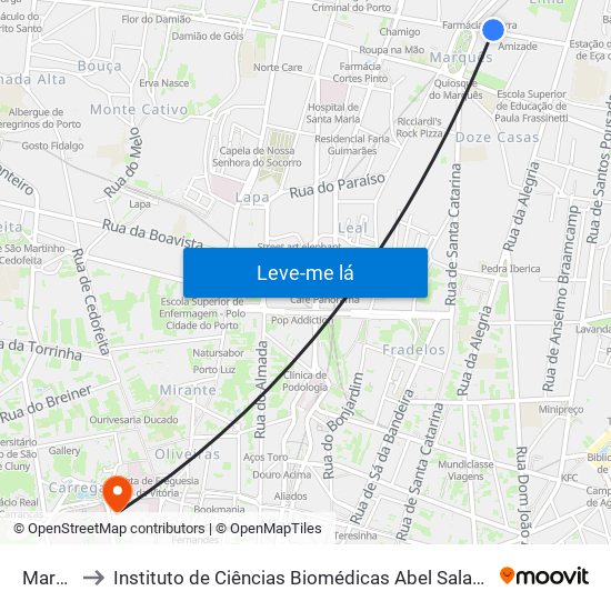 Marquês to Instituto de Ciências Biomédicas Abel Salazar - Polo de Medicina map