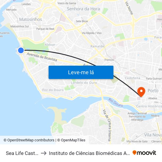 Sea Life Castelo do Queijo to Instituto de Ciências Biomédicas Abel Salazar - Polo de Medicina map